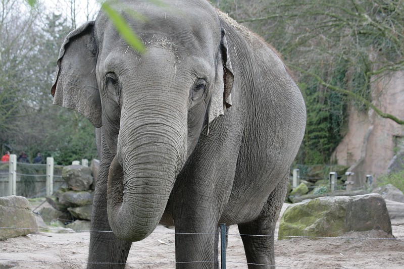 Fotoclubje Blijdorp 2008-34.jpg